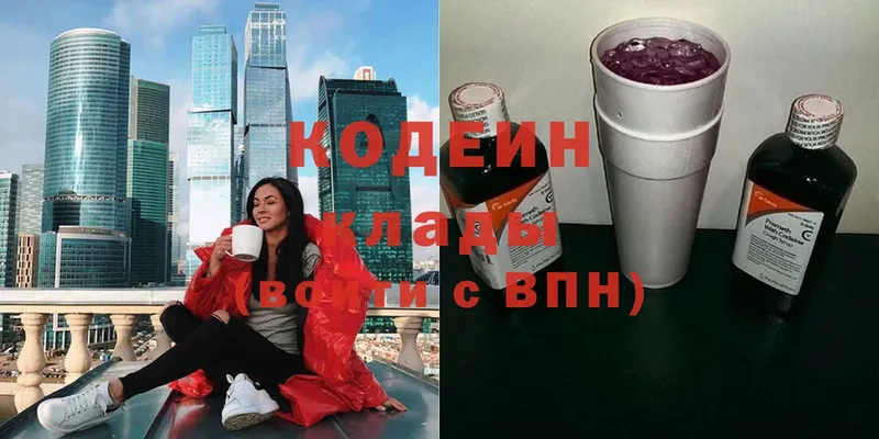 hydra ССЫЛКА  Нытва  Кодеиновый сироп Lean Purple Drank  где купить наркотик 